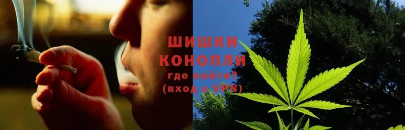 Канабис SATIVA & INDICA  где продают   Гаджиево 